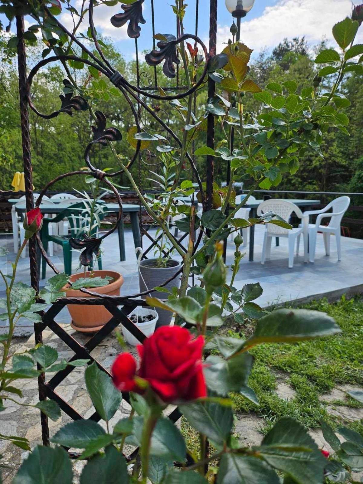 Orehite-Family Hotel ,Food & Pool Bozhichen Luaran gambar